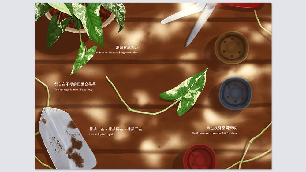 圖文小誌 熱浪帶走了薄荷